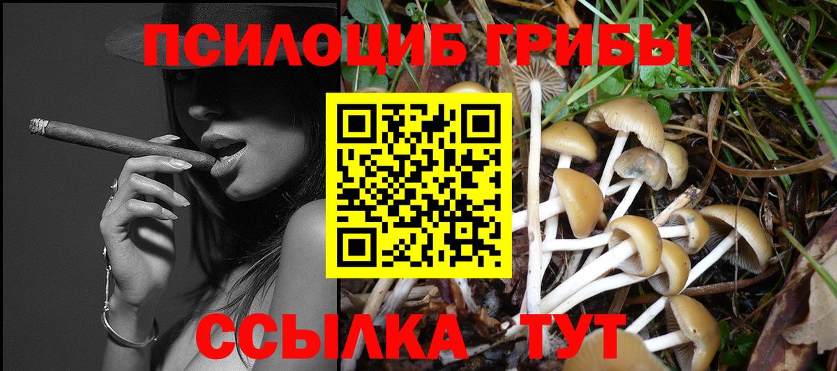 Мирный  наркота  Вход с VPN  Псилоцибиновые грибы GOLDEN TEACHER 