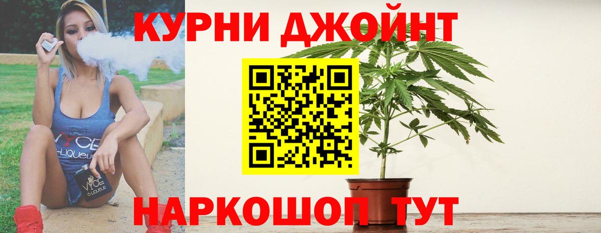 Конопля сатива Мирный